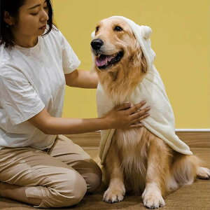 ^I ybg Jybg Aj}[u L  i [u t ^p }CNt@Co[ z  Vv[ U ybgp oX[u  oX^I ̐@ ӂӂ _