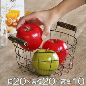 C[oXPbg AeB[N  20×s20×10cm ی^ t i oXPbg  [  ۂ C[ JS  [ oXPbg[ [ ~^ j y39V