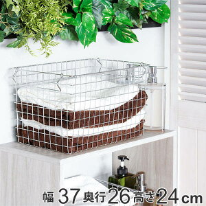 [ C[[BOX 37×s26×24cm i C[oXPbg [{bNX C[[ oXPbg  [ [P[X t t ςݏd X^bLO ACA 