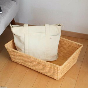 oXPbg 54×s38×18.5cm  ^ i^Pbg i [oXPbg [ JS  ^ 傫  ^ jy39Vbvz