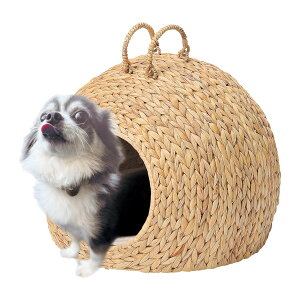 Lxbh qVX  h[ VRf i ybgpoXPbg ybgxbh ybgnEX p Lp ybgp NbVt RpNg  xbh nEX oXPbg Lb