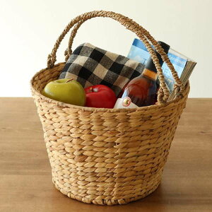 oXPbg t  a31×22cm  EH[^[qVX i AWA [ h[ [{bNX [P[X  JS Rf i`  󂩂 h[