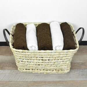  \tgoXPbg CY p^ t i 44×s33×21cm [ JS oXPbg VRf [  [ 󂩂 󕨓 ʋC  [oXPbg rO