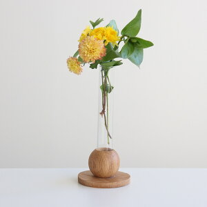 ԕr BAUM oI a8×18cm t[x[X M i Ԃт Ԋ x[X KXx[X Ebhx[X ֑} t[   ԓ KX KX VR ؐ Ebh  ّf jy39