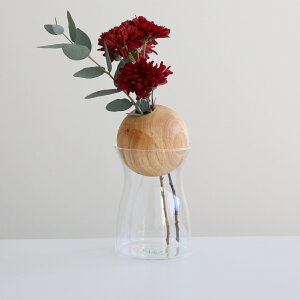 ԕr visco rXR a7×13cm S t[x[X i ԃr Ԃт Ԋ x[X KXx[X t[   ֑} ԓ KX KX nhCh  NA  ׌ VR