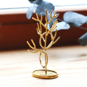 in bloom ANZT[X^h c[ STCY i Cu[ ANZT[ [ ^J w CO WG[X^h gC sAX g[ rO  S[h ݂邷  