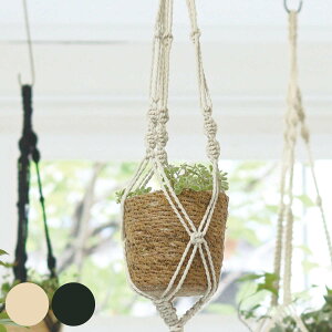 Aؔ }N nMO|bg2A a9cm i  JS }N҂ ҂ vgnK[ |bg |bg AؔJo[ 艺 ݂艺 肳 Jo[ nMOv