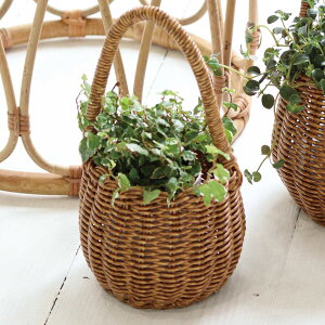 |bg eB Onh S i  JS |bg nht oXPbg ҂ 艺 ݂艺 肳  A Jo[ STCY jy39Vbvz