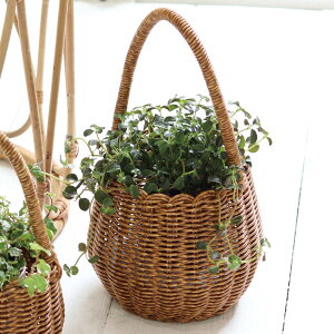 |bg eB Onh L i  JS |bg nht oXPbg ҂ 艺 ݂艺 肳  A Jo[ LTCY jy39Vbvz