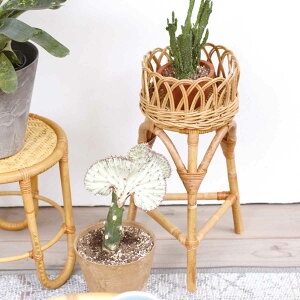 �t�����[�X�^���h S ���O�� �i ���� �J�S ���|�b�g �o�X�P�b�g ��҂� ���[���� ���^�� �X�^���h �v�����g�|�b�g �ϗt�A�� ���J�o�[ �J�o�[ �t�����[�o�X�P�b�g �t�����[�|�b�g �v�����^�[�J