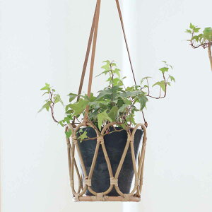 nMO|bg L O i  JS |bg oXPbg ҂ [ ^ vg|bg v^[Jo[ ^nMO|bg  LTCY 5 5 艺 ݂艺 