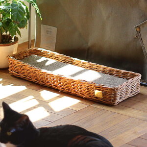 ܂ƂoXPbg ^ P[X [ i L ܂Ƃp ܂Ƃ ܂ƂP[X ꕨ ܌ ܂݂ i{[ oXPbg CeA ܂Ƃ[ _{[ Lp܂Ƃ Lp ybg