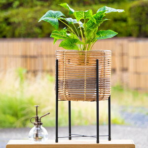 Jo[ g[N E^ tFCNPEPE X^htoXPbgEhg[ M i v^[Jo[ |bgJo[  JS oXPbg [JS ҂ ϗtA A    