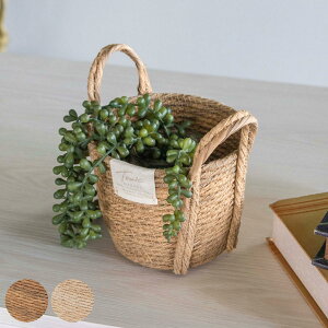 Jo[l tFCNPE oXPbgEh S i v^[Jo[ |bgJo[  JS oXPbg [JS [ ҂ ϗtA A    |bg |b