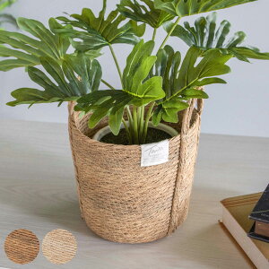 Jo[l tFCNPE oXPbgEh M i v^[Jo[ |bgJo[  JS oXPbg [JS [ ҂ ϗtA A    |bg  A