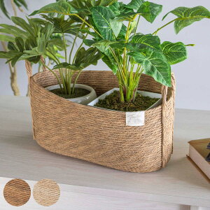 Jo[l tFCNPE oXPbgI[o L i v^[Jo[ |bgJo[  JS oXPbg [JS [ ҂ ϗtA A    |bg |b