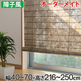 楽天市場 窓 目隠し 風通し すだれの通販