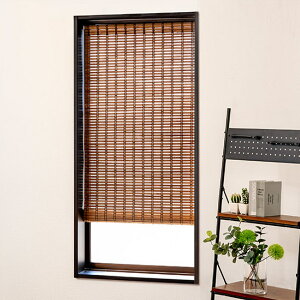 XN[ p |XN[ | 59×135cm ˂_t i pXN[  J[e VF[h |  悯 ډB  Rې a rO _CjO GR ȒP 