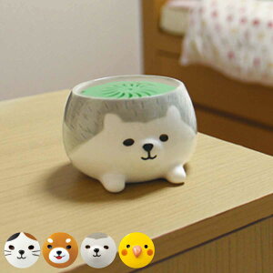 悯Aj}JbvZbg 悯tOXt { i  n[u ΍ VRn[u Aj}  퐻  gC Lb` rO  RpNg j y39V