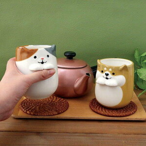 ۂ 250ml Ƃ蓒  i dqWΉ ̂  Rbv Jbv  Aj} Č ~PlR   lR ˂  R[q[ g 킢 j y39Vbvz