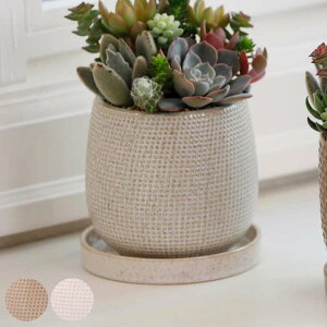 Aؔ j[h|bg B^Cv LTCY 󂯎Mt i t[|bg vg|bg v^[|bg  A  퐻 CeA Aւ  ϗtA A T{e 