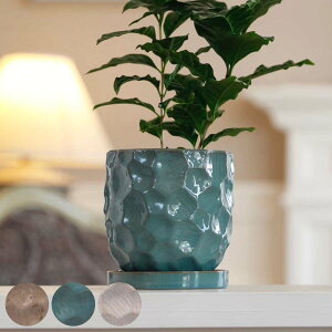 Aؔ WF|bg S 󂯎Mt i t[|bg vg|bg v^[|bg  A  퐻 CeA Aւ  ϗtA A T{e | 󂯎M 