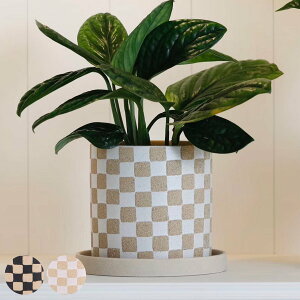 Aؔ \u|bg L 󂯎Mt i t[|bg vg|bg v^[|bg  A  CeA Aւ  ϗtA A T{e | 󂯎M  