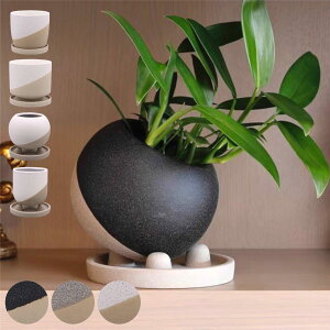 植木鉢 レヒーポット Aタイプ Bタイプ Cタイプ Dタイプ 受け皿付き ( フラワーポット プラントポット プランターポット 鉢 鉢植え インテリア 植え替え おしゃれ 観葉植物 多肉植物 サボテン