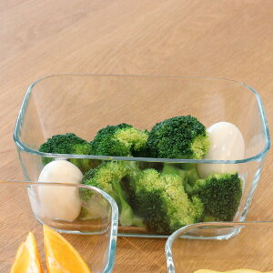 ۑe 1.38L ^V[[ Fresh Plan LjX^[ L i ^  KX H@Ή dqWΉ I[uΉ Ⓚ XgbJ[ e ϔMKX Hiۑ u ٓ z  _