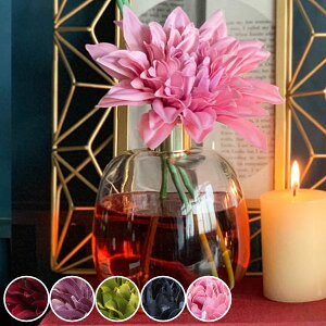 fBt[U[ A} _A  _g DULTON i A}fBt[U[ [hfBt[U[ F    bNX e Mtg{bNX 450ml 5  r