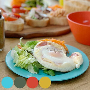 _g v[g 20cm MB vX`bN ou[t@Co[ i DULTON H@Ή M M pM ou[f y ɂ AEghA Lv sNjbN ^ Jt 