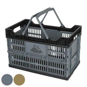 DULTON  tH[fBOVbsOoXPbg 30L i _g 48×s28×31cm oXPbg  JS ܂肽 ςݏd [  [ AEghA Lv 