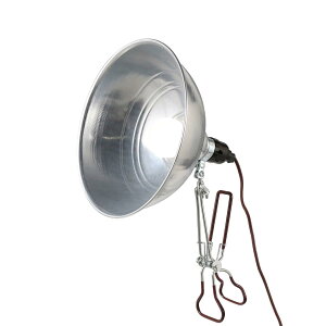 �_���g�� �N���b�v���C�g L ALUMINUM CLIP LAMP LED���C�g�Ή� �i �R���Z���g �f�X�N���C�g E26 �X�C�b�`�t�� �A���~ �X�`�[�� �p�x���� �Ɩ���� DULTON �R���Z���g�� �X�|�b�g���C�g �C���_�X�g���A