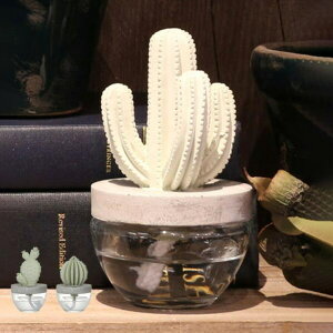 fBt[U[ _g DULTON JN^XtOXfBt[U[ T{e Elegantpeony i F [tOX A}fBt[U[  tOX A A}IC A