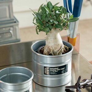 Aؔ KoiCYh fXNgbv ^N L _g i DULTON Jo[ |bgJo[ AؔJo[ v^[ Jo[ v^[oXPbg ~` ^ h a14.5cm ^A ϗt