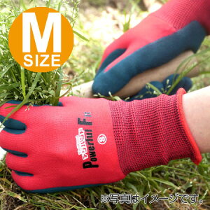 R Ɨp ~ fWnh pttBbg M i S ƒp _Ɨp Xx~ |p jH j y39Vbvz