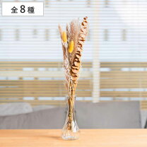 楽天市場】造花 一輪（ドライフラワー｜花・観葉植物）：花・ガーデン  