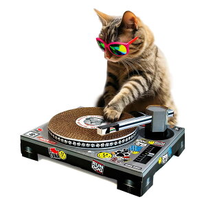 ܂Ƃ LbgXNb`[ DJ L SUCK UK i ܌ ߂Ƃ Lp i{[ ȒPgݗ XgX V  킢 ܂Ƃ}bg ܖ KK ˂ Lpi ybgpi 