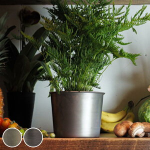 v^[ MC~|bg a16×12.5cm ACA i Aؔ vg|bg Ap|bg ԕr Ԃт Ԋ Jo[ |bg  ~  X^h u A  ϗtA A T{