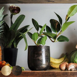 Aؔ AM3.5x[X A~ a13×13cm i vg|bg Ap|bg Ԋ Jo[ |bg ԕr  AؔJo[ vX`bN A  ϗtA | CeA ꌊȂ y j y39