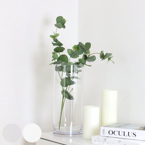 ԕr ȂKX PVV_[ a10×30cm i Ԃт Ԋ V_[ t[x[X  Ȃ x[X t[   ~ ~ |J[{l[g v LjX^[ NA 