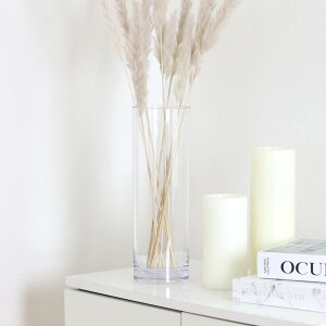 ԕr ȂKX PVV_[ a15×35cm i Ԃт Ԋ V_[ t[x[X  Ȃ ~ ~ |J[{l[g LjX^[ NA  A ؉ tFCN O[