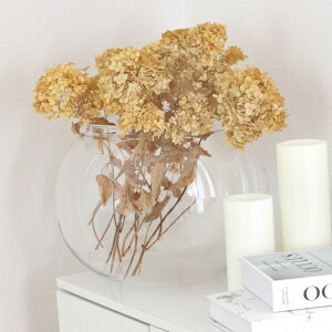 ԕr ȂKX PV` a34.5×26.5cm i Ԃт Ԋ t[x[X ^    Ȃ |J[{l[g v NA  A Aؔ  O[ ^ CeA 