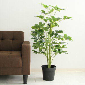 tFCNO[ htJmL 105cm i ϗtA tFCN lHϗtA     5Ή sv lHA O[  CeA lH A ͂Ȃ jy39V