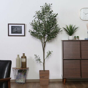 tFCNO[ I[u 180cm WCg i lHϗtA ^   lH ϗtA A[gO[ sv ȒP A tFCN   rO  Ce