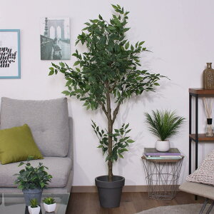 tFCNO[ tBJX 160cm WCg i lHϗtA ^   lH ϗtA A[gO[ sv ȒP A tFCN   rO  Ce