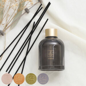 [hfBt[U[ LACSA VT 100ml i fBt[U[ A}fBt[U[ KX  F  pbP[Wt [tOX A} tOX  Q  