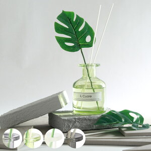 [hfBt[U[ CNI[ 100ml i fBt[U[ A}fBt[U[ KX F  Xe XeBbN [tOX A} tOX  Q  