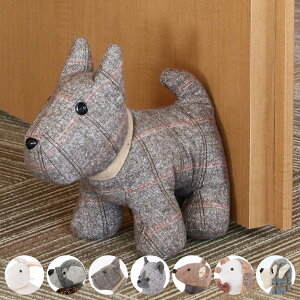 hAXgbp[ Aj}hAXgbp[ 1kg ʂ i Xgbp[ hA~ 킢  lR   u ~ Xgbp[ hAL[p[ hAXgbv Г ItBX 