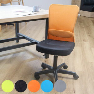 fXN`FA ʍ43`54cm ItBX`FA bV  ֎q LX^[`FA o[T|[g i `FA p\R`FA wK֎q [N`FA bV`FA wK`FA PC`